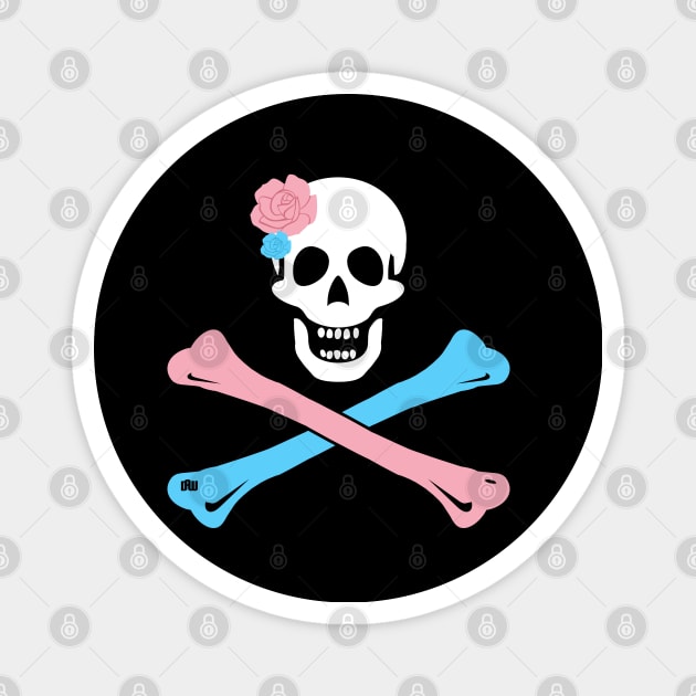 Trans Pride Skull and Crossbones Magnet by Daniela A. Wolfe Designs
